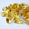 Fish Oils Omega 3 EFA