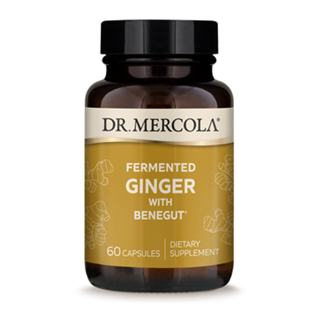 Dr Mercola Fermented Ginger 60 caps