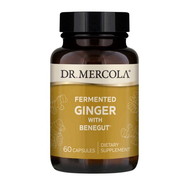 Dr Mercola Fermented Ginger 60 caps