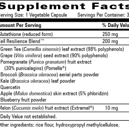 Progressive Labs Antioxidant Resilience 30 vegcaps Supplement Facts 