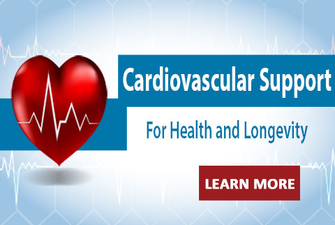 Cardiovascular Support