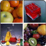 Alcat Pediatric Wellness (81 Items)