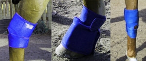 Cold One Equine 3-in-1 Universal Pair Quarter Horse