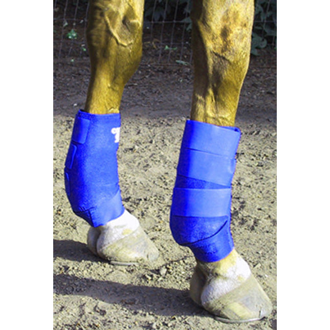 Cold One Equine Fetlock Pair - Warm Blood